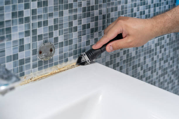 Best Mold Testing  in Mapleton, IA