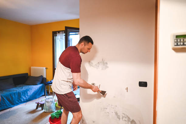 Mold Testing and Removal in Mapleton, IA